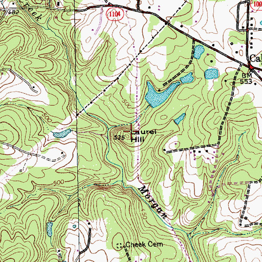 Topographic Map of Laurel Hill, NC