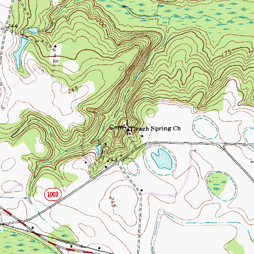 Topographic Map of Leach Spring Church, NC