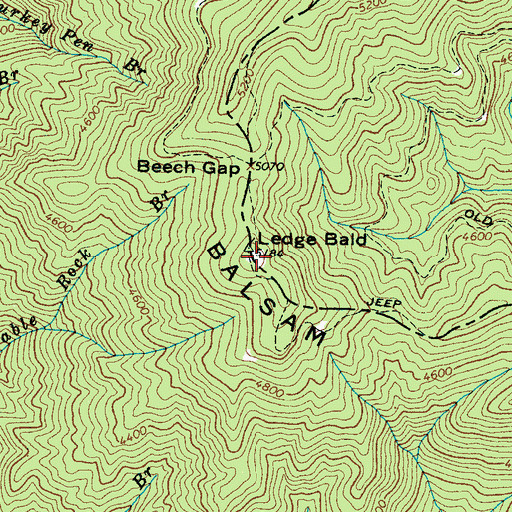 Topographic Map of Ledge Bald, NC