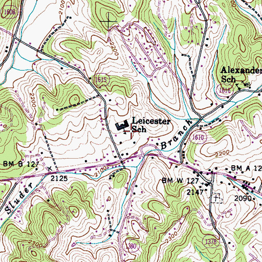 Topographic Map of Leicester School, NC