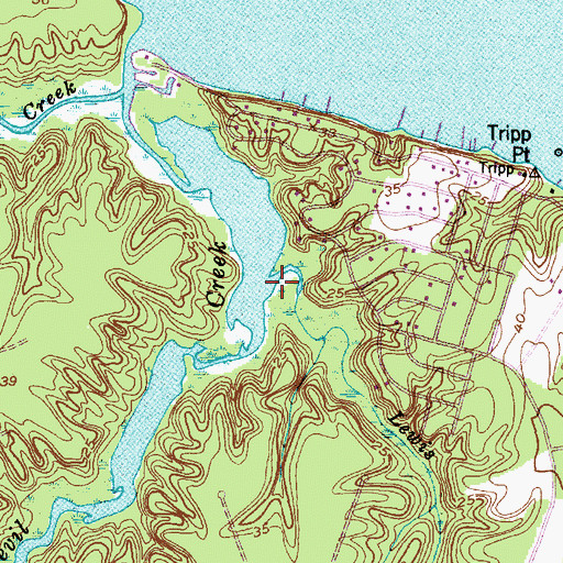 Topographic Map of Lewis Gut, NC
