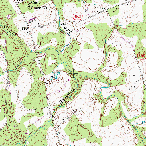 Topographic Map of Lick Branch, NC