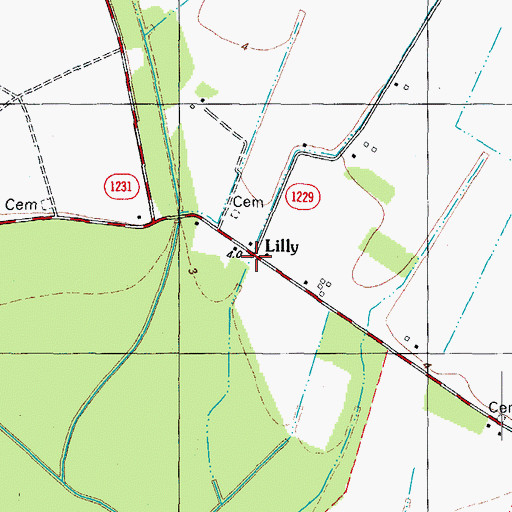 Topographic Map of Lilly, NC