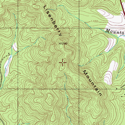 Topographic Map of Lisenberry Mountain, NC