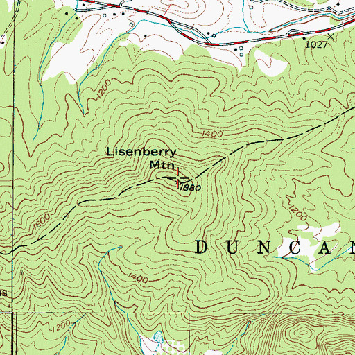 Topographic Map of Lisenberry Mountain, NC
