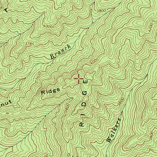 Topographic Map of Little Chestnut Ridge, NC