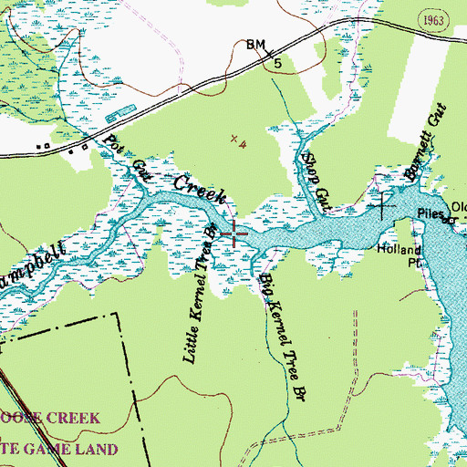 Topographic Map of Little Kernel Tree Branch, NC