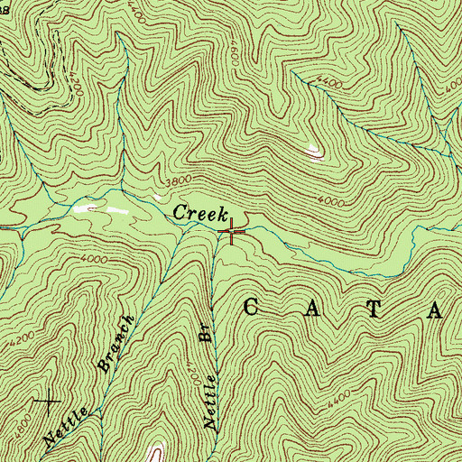 Topographic Map of Little Nettle Branch, NC