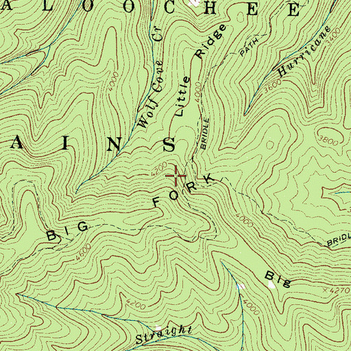 Topographic Map of Little Ridge, NC