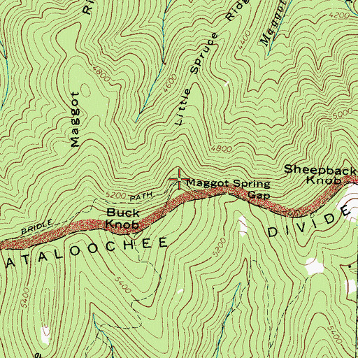 Topographic Map of Little Spruce Ridge, NC