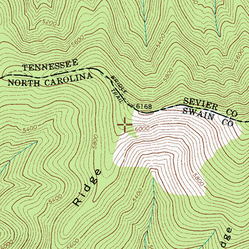 Topographic Map of Loggy Ridge, NC