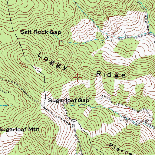 Topographic Map of Loggy Ridge, NC
