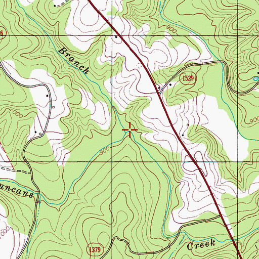 Topographic Map of Long Branch, NC