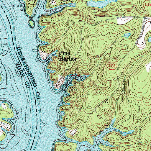Topographic Map of Long Cove, NC