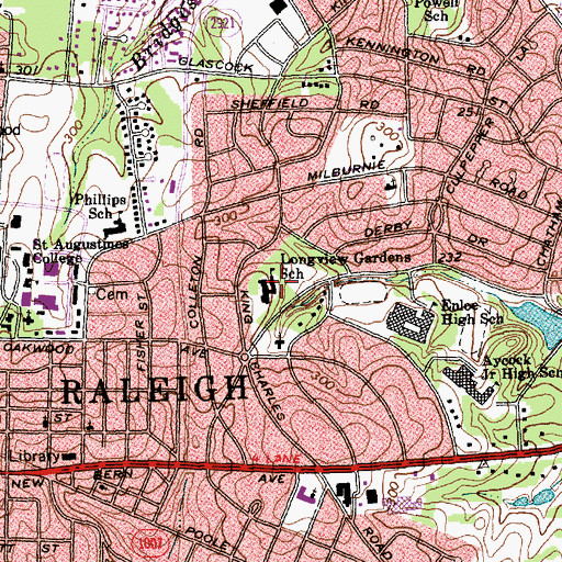 Topographic Map of Longview School, NC