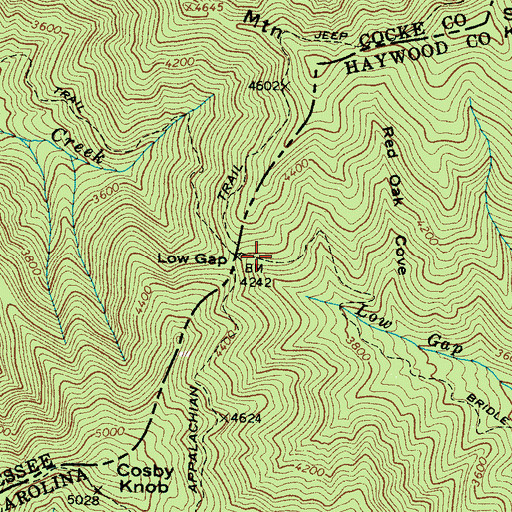 Topographic Map of Low Gap, NC