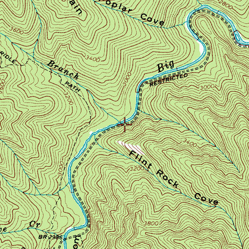 Topographic Map of Low Gap Branch, NC