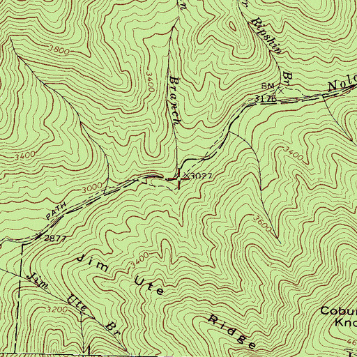 Topographic Map of Lower Ripshin Branch, NC