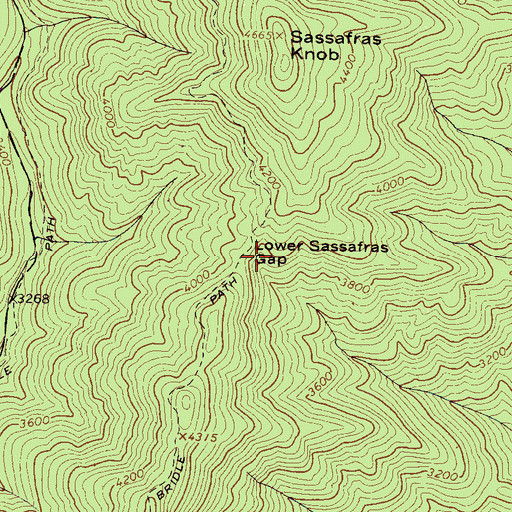 Topographic Map of Lower Sassafras Gap, NC