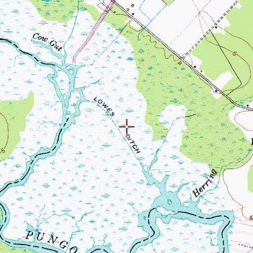 Topographic Map of Lowes Ditch, NC