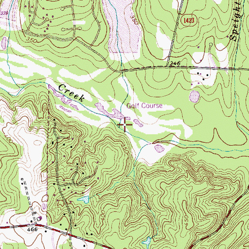 Topographic Map of Lynn Branch, NC