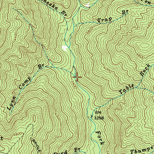 Topographic Map of Lynn Camp Branch, NC