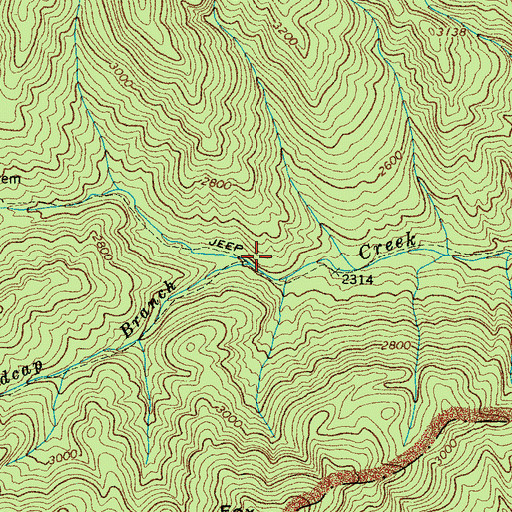 Topographic Map of Madcap Branch, NC