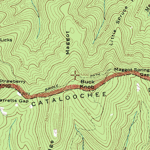 Topographic Map of Maggot Ridge, NC