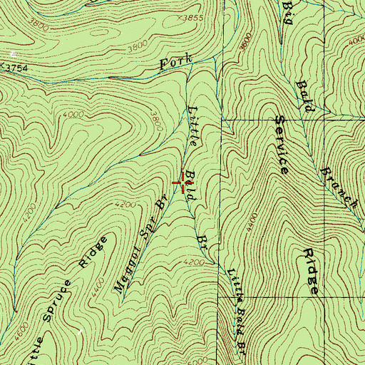 Topographic Map of Maggot Spring Branch, NC