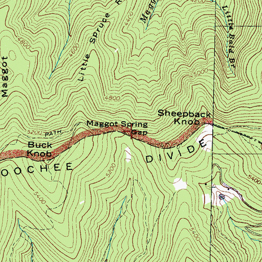 Topographic Map of Maggot Spring Gap, NC