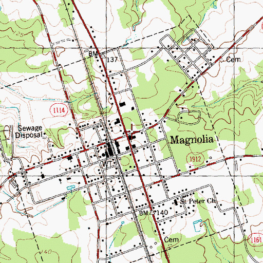 Topographic Map of Magnolia, NC