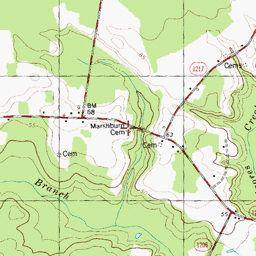 Topographic Map of Marshburn Cemetery, NC