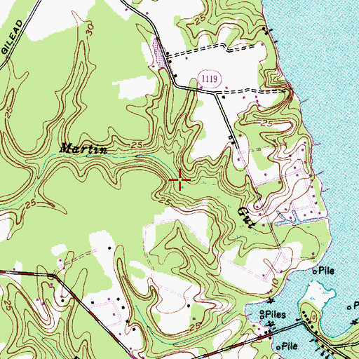Topographic Map of Martin Gut, NC