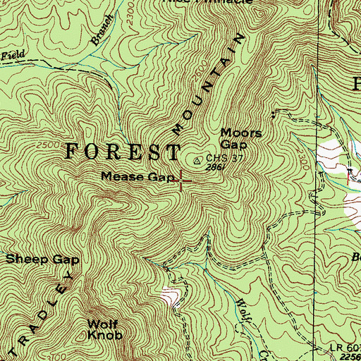 Topographic Map of Mease Gap, NC
