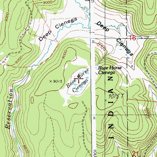 Topographic Map of Race Horse Cienega, AZ
