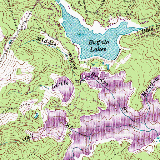 Topographic Map of Middle Prong Little Bridge Branch, NC