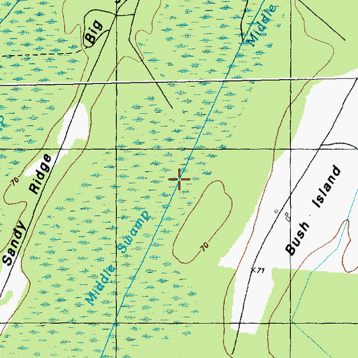 Topographic Map of Middle Swamp, NC