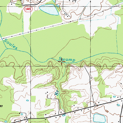 Topographic Map of Mire Branch, NC