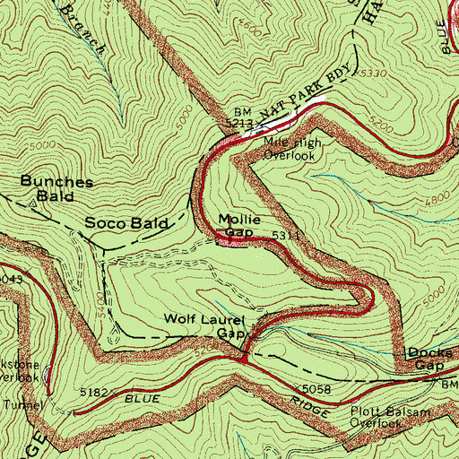 Topographic Map of Mollie Gap, NC