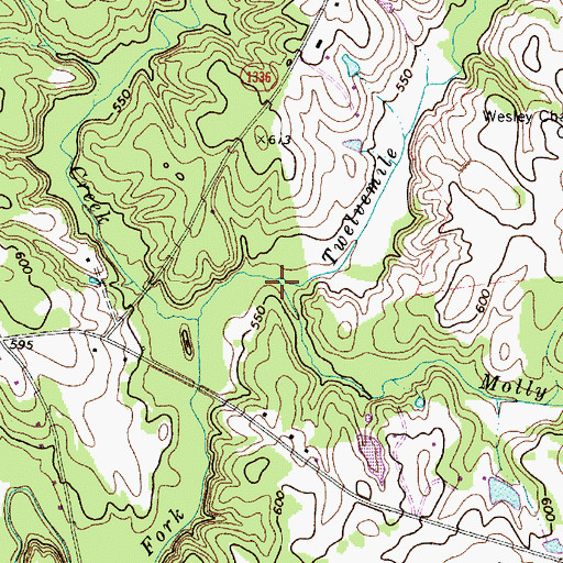 Topographic Map of Molly Branch, NC