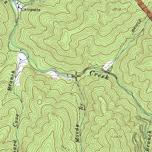 Topographic Map of Moody Branch, NC