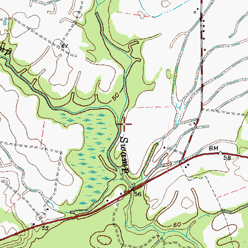 Topographic Map of Moore Swamp, NC