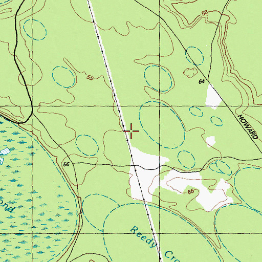 Topographic Map of Moore Swamp, NC