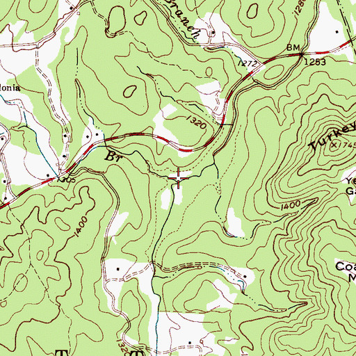 Topographic Map of Moores Branch, NC