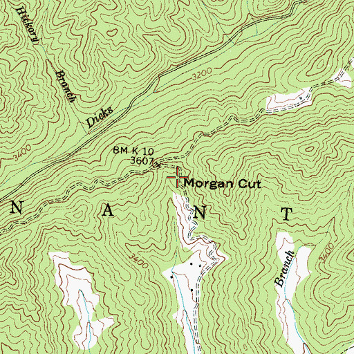 Topographic Map of Morgan Cut, NC