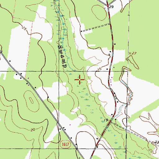 Topographic Map of Morgan Swamp, NC