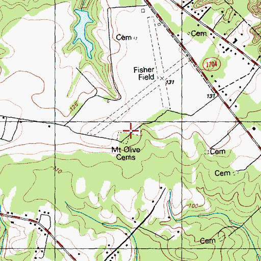 Topographic Map of Mount Olive Cemeteries, NC