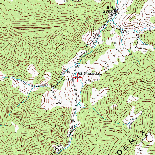 Topographic Map of Mount Pleasant Church, NC