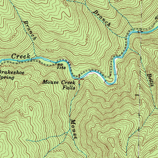 Topographic Map of Mouse Creek, NC