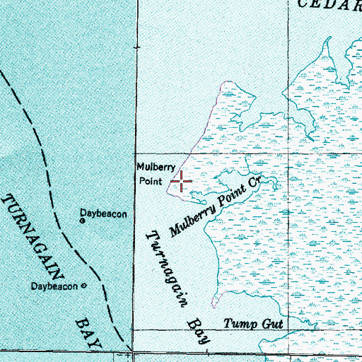 Topographic Map of Mulberry Point, NC